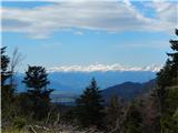 Mače  - Planina Kališče